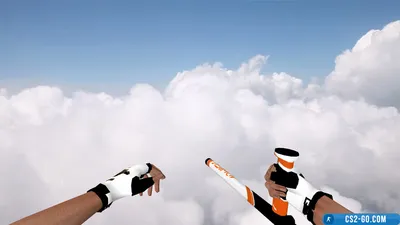 “Baton Asiimov” model for CS 1.6