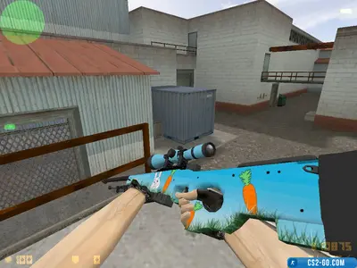 AWP "Rabbit’s Share" model for CS 1.6