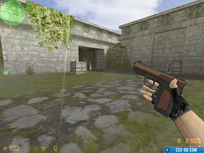 USP Busines Class model for CS 1.6