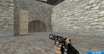 HD P250 "Next Technology" model for CS 1.6