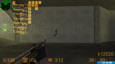Unique HUD icons for CS 1.6