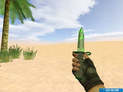 “Gamma Waves Bayonet” model for CS 1.6