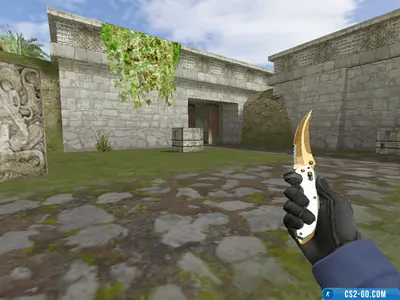 “Flip Knife Tiger Tooth” model for CS 1.6