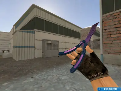 The “Butterfly Knife ‘Northern Lights’” model for CS 1.6