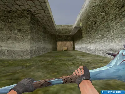 The “Ripper’s Club” model for CS 1.6