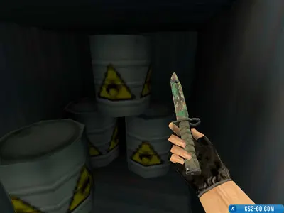 The M9 Bayonet “Northern Forest” model for CS 1.6