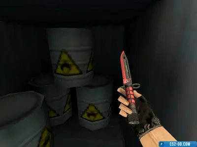 M9 Bayonet Model “EcoTech” for CS 1.6