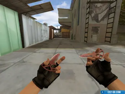 Push dagger “Black Pearl” model for CS 1.6