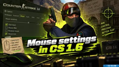 Mouse settings in CS 1.6